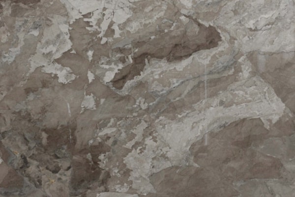 Terre Di Bolgheri (H/P)